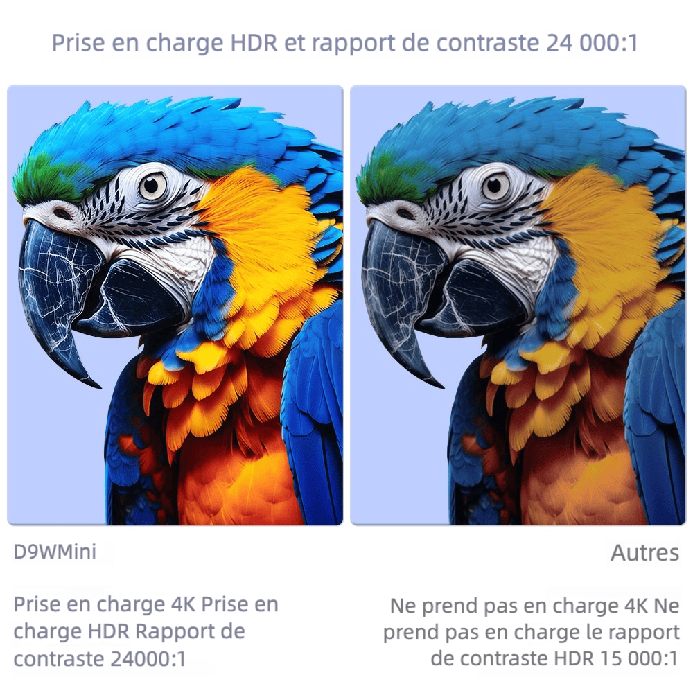 Vidéoprojecteur portable - Flixtone D9W - Oryx