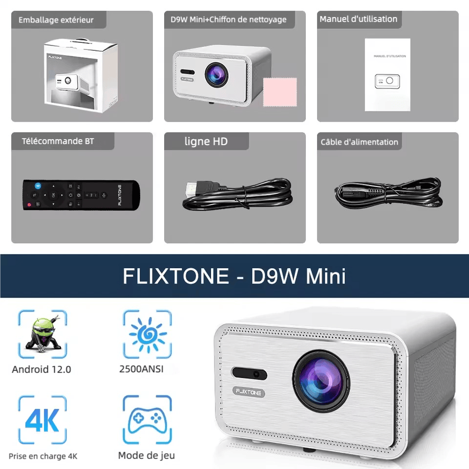 Vidéoprojecteur portable - Flixtone D9W - Oryx