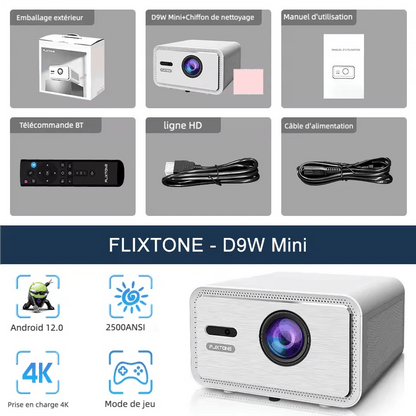 Vidéoprojecteur portable - Flixtone D9W - Oryx